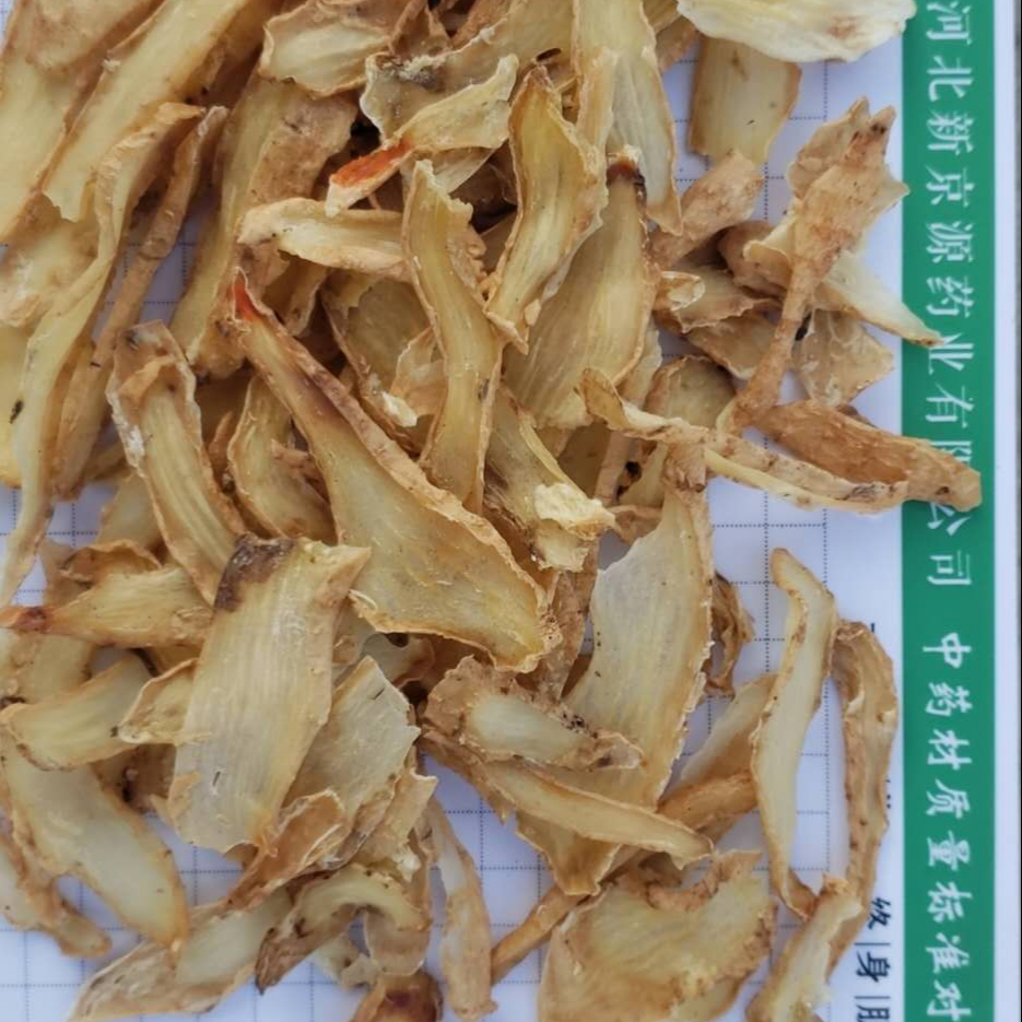 为什么中医经常说湿气重？